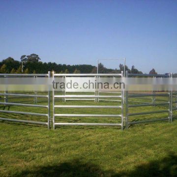 galvanised sheep yard fence