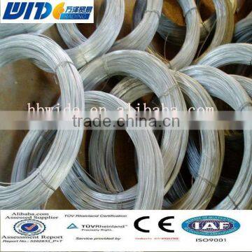 High quality best price galvanized wire for construction (CHINA SUPPLIER)