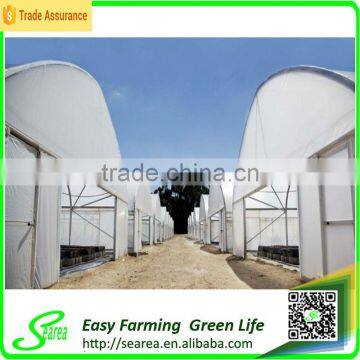 Hot Sale Searea 200 Micron Single-span Greenhouse Project photo-2