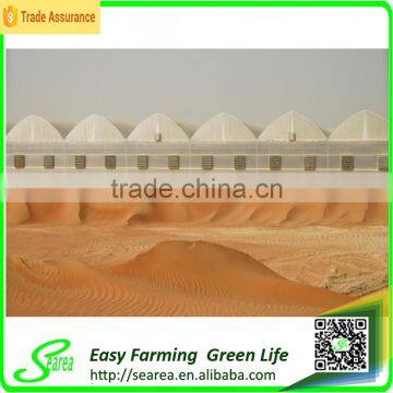 Hot Sale Small Size Agriculture Solar Tent/green House for Sale photo-5