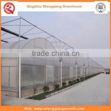 High quality 9.6m multi-span agricultural plastic houses for sale