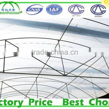 Film Cover Material and Multi-Span Agricultural Commercial Greenhouses photo-2