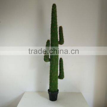 SJ3001009 High Imitation Cactus Plant/indoor Decoration Cactus Plant photo-4
