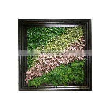 Environmental Protection Artificial Green Wall Succulent Plant Wall photo-2