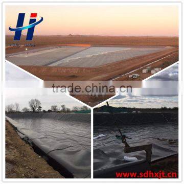HDPE Material and Geomembranes Type Waterproof Liner HDPE Geomembrane Cheap Price for Pond and Lake Dam Geomembrane photo-4