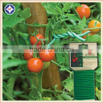 PE Plastic Plant Tie for Grape Vine photo-6