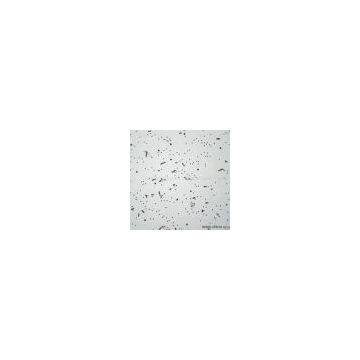 Sell Mineral Fiber Ceiling Board