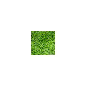 Sell Frozen Kiwi Dices