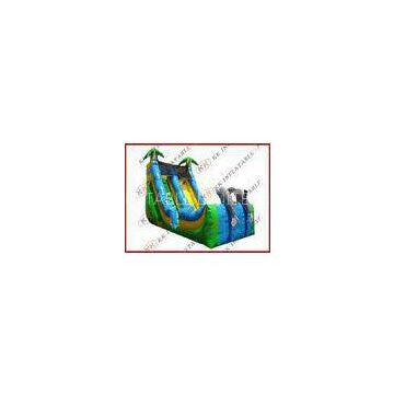 Commercial Grade Inflatable Water Slides toughness , rent water slides