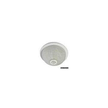 Ceiling Light with PIR Sensor