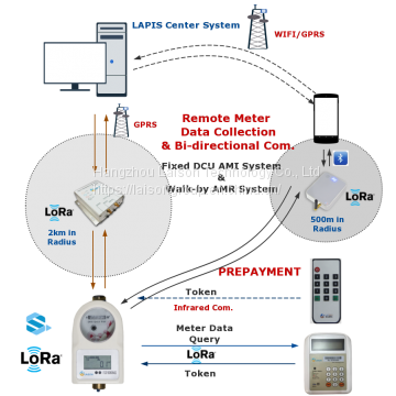 LAISON Split Type STS Prepayment Water Meter