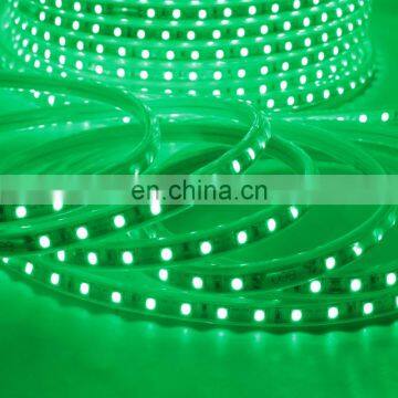 100M Strip Led Light RGB 16 Color Changing With Remote 110V 220V