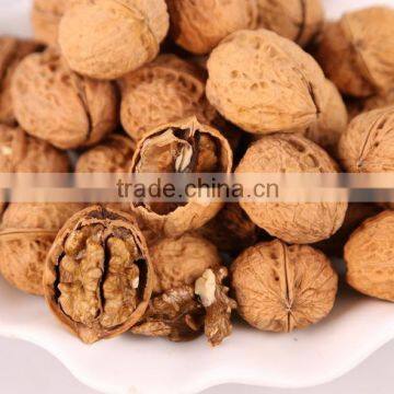 walnut without shell/walnut meat/walnut kernel