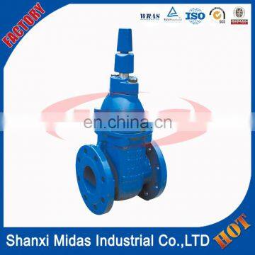 8 Inch Ductile Cast Iron Resilient Seated Water Gate Valve Pn16