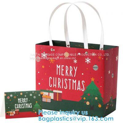 China Manufacturer Matt Lamination Christmas Gift Paper Bag With Cotton Handle,New Design White Handmade Paper Bag Pack photo-4