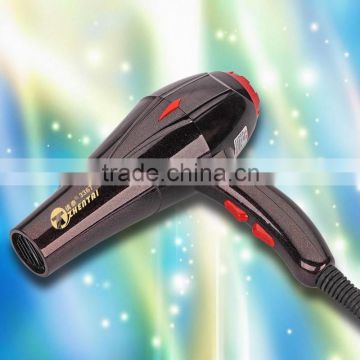 Beauty Salon Multifunction Hair Dryer High Temperature Cold Shot Zhentai Hair Dryer