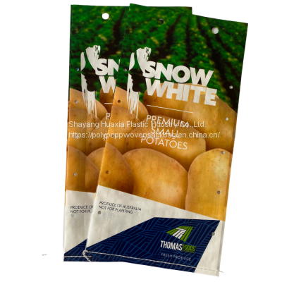 Industrial Plaster Plastic Packaging Bag for White Kaolin Clay Powder Calcium Carbonate Powder Gypsum Powder photo-4