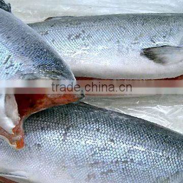 Frozen H&G Pink Salmon photo-2