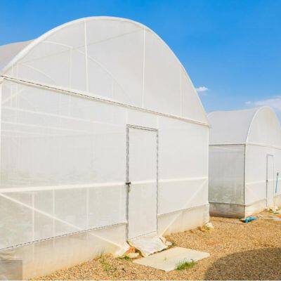 Greenhouse UV behandeltes Insektennetz 100% HDPE-Maschenware 40 50 Insektennetz