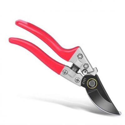 Knives & Scissors