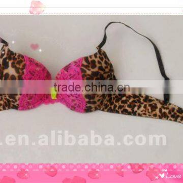 Fashion Leopard Printed Bras Extreme Push Up Bras