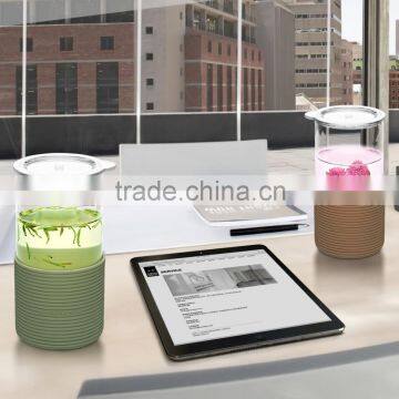 Samadoyo Office Tea Mugs with Heat-proof Silicone Rim and Lid Free Sample