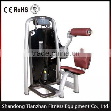 top quality Factory direct supply price/ gym fitness machine/ back extension TZ-6006