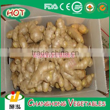 2015 fresh ginger with lowest price 5kg/carton