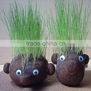 Grass head,grass doll,magic grass head