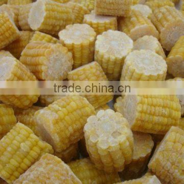 FROZEN SWEET CORN COB