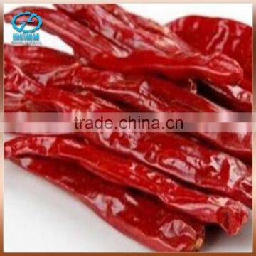 Energy-saving Chinese Dryer Food for Banana for Sale photo-6