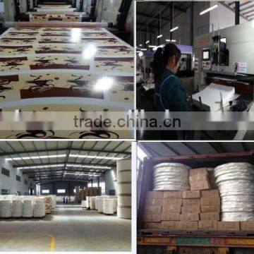 PE Coated Paper for Cup Bowl Plate in Roll