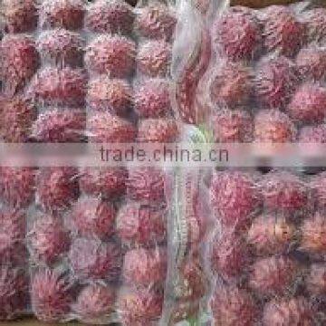 FROZEN RAMBUTAN FRUIT WITH BEST PRICE AND GOOD QUALITY