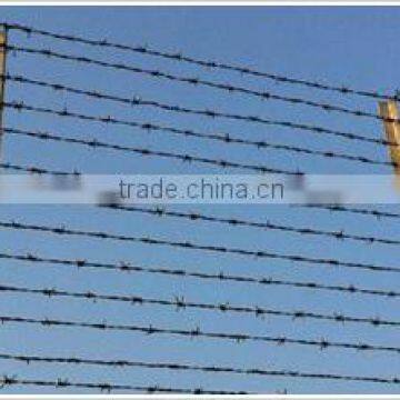 Powder coated or galvanized barbed wire with high quality