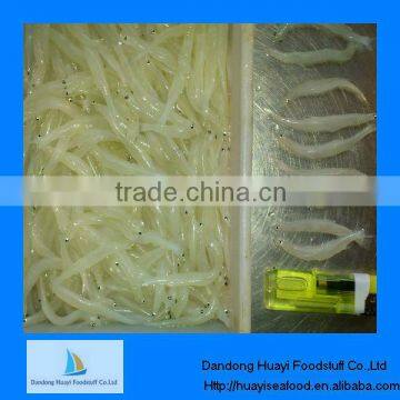 high quality fresh frozen silver fish