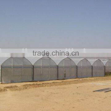 Plastic Film Greenhouse