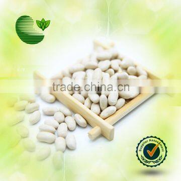 Chinese Spanish White Kidney Beans