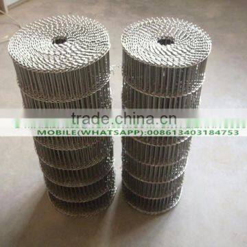 Enrober Belt for Chocolate photo-3