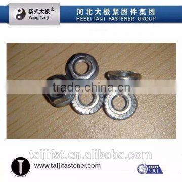 DIN6923 Hex Nut with Flange