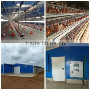 Automatic A cage and H cage equipment for feeding Layer hen egg chicken