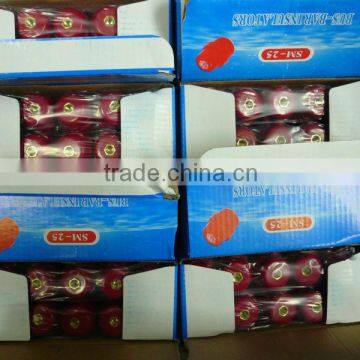 SM series Insulator busbar
