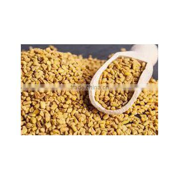 FENUGREEK METHI DANA photo-2