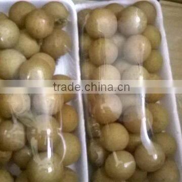 Longan Fruit- High Quality Competitive Price From Vietnam photo-1
