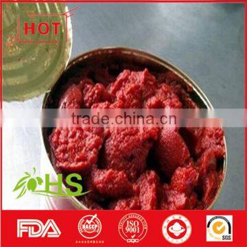 Fresh tomato paste from China