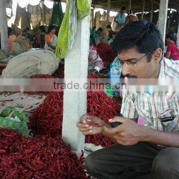 Indian Bulk Supply Red Chilli photo-4