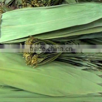 Dry bamboo leaf