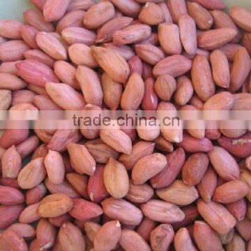 50/60 red skin peanut kernels ,shandong peanut kernels in china