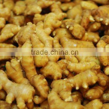 Wholesale Organic Common Cultivation Type Fresh Ginger photo-6