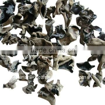 dried black fungus