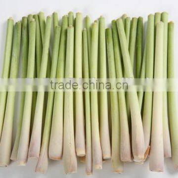 Frozen lemongrass whole